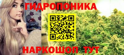 дживик Краснодар