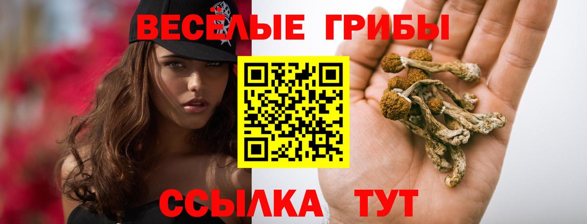 Псилоцибиновые грибы мухоморы Лабытнанги